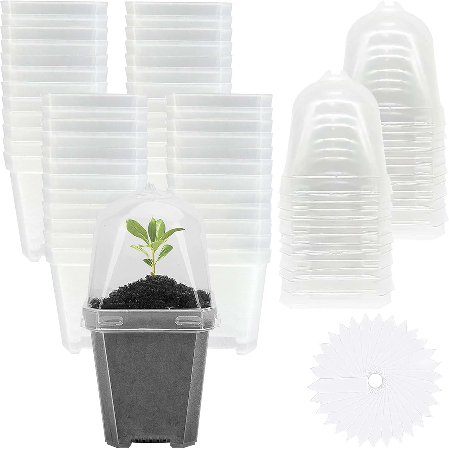 50 Pcs Clear Plant Nursery Pots with Humidity Dome-3