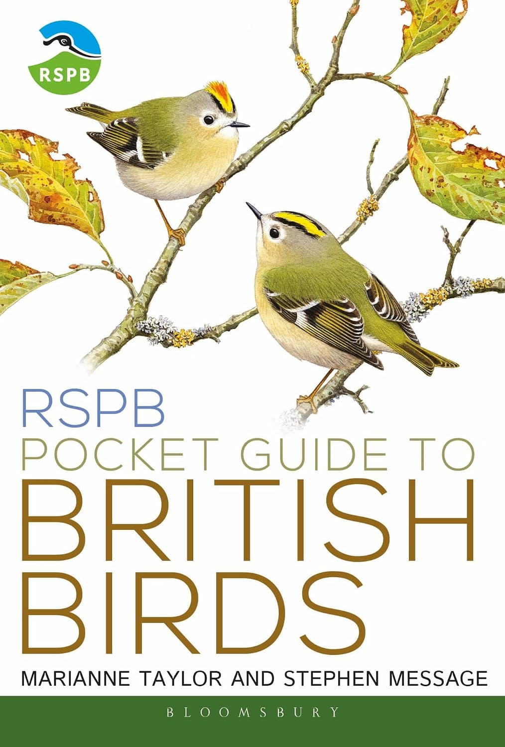 RSPB Pocket Guide to British Birds the new