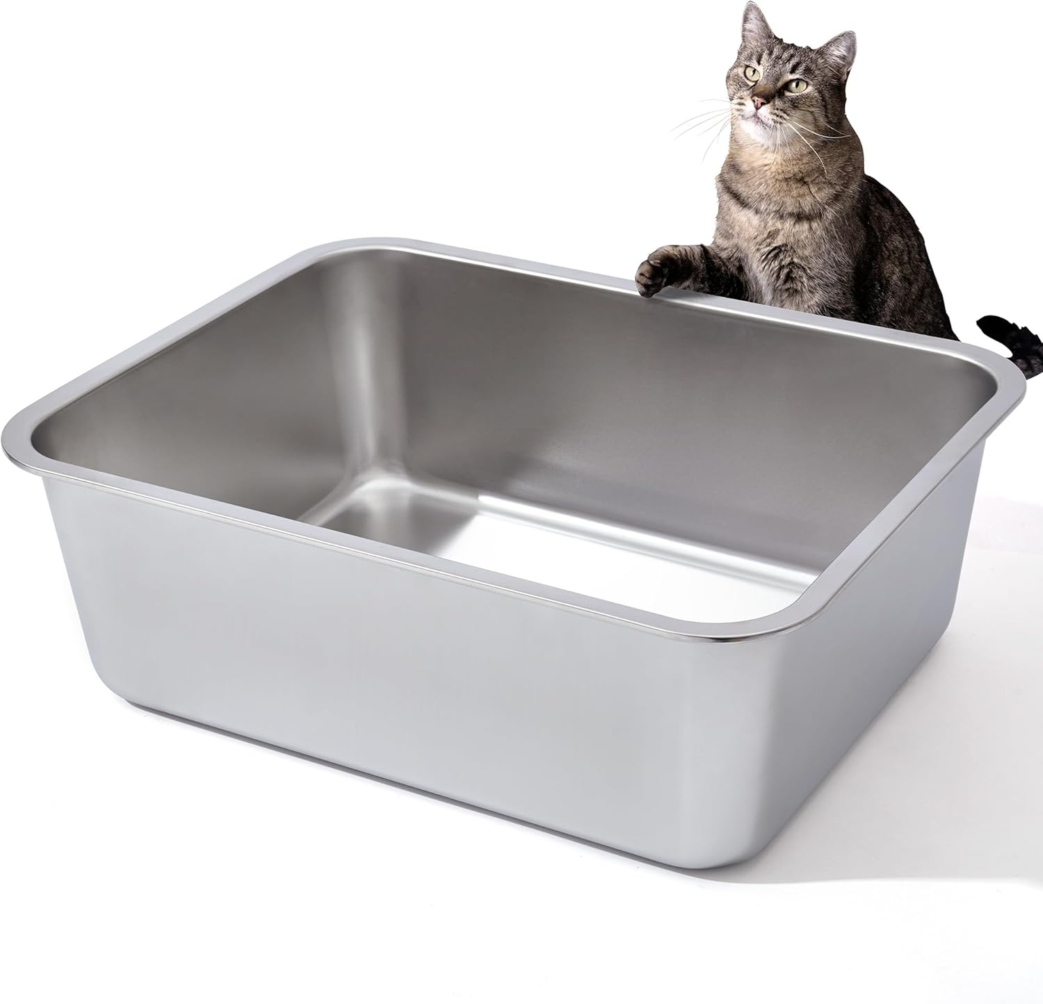 best cat litter box easy clean limited mobility Neakasa M1 Lite Plus Open-Top Self-Cleaning Cat Litter Box