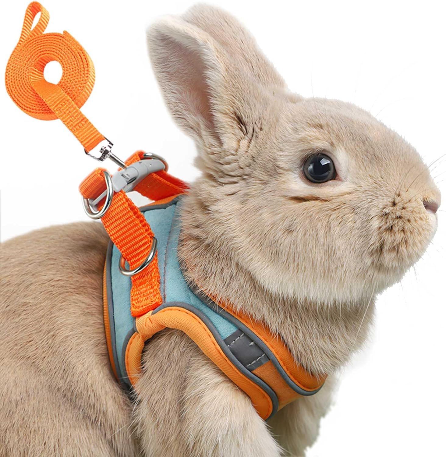 Adjustable Bunny Harness and Leash Set Double Buckle with Reflective