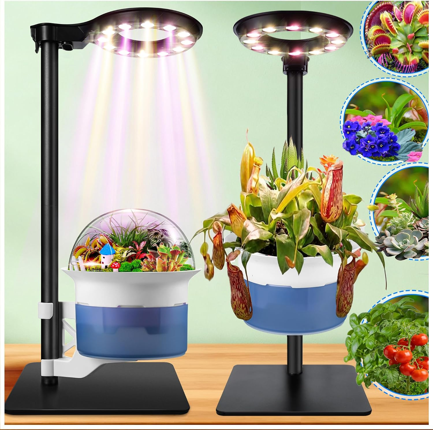 Large Venus Fly Trap Terrarium Pot with Plant Grow Light,Timer&Metal Stand