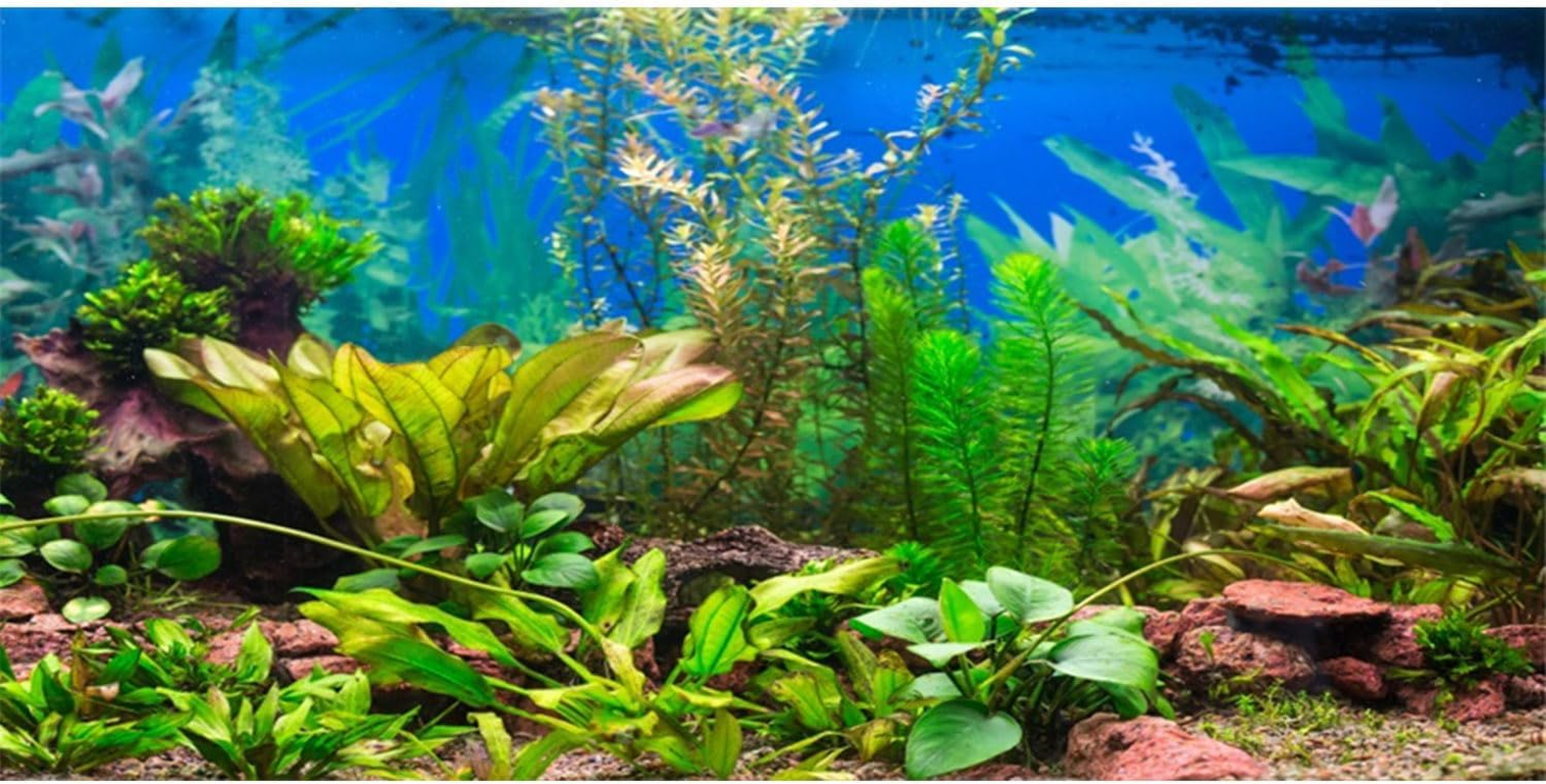 how do i mix retatrutide with bac water How much bac water for 10mg retatrutide: complete reconstitution and dosing  guide