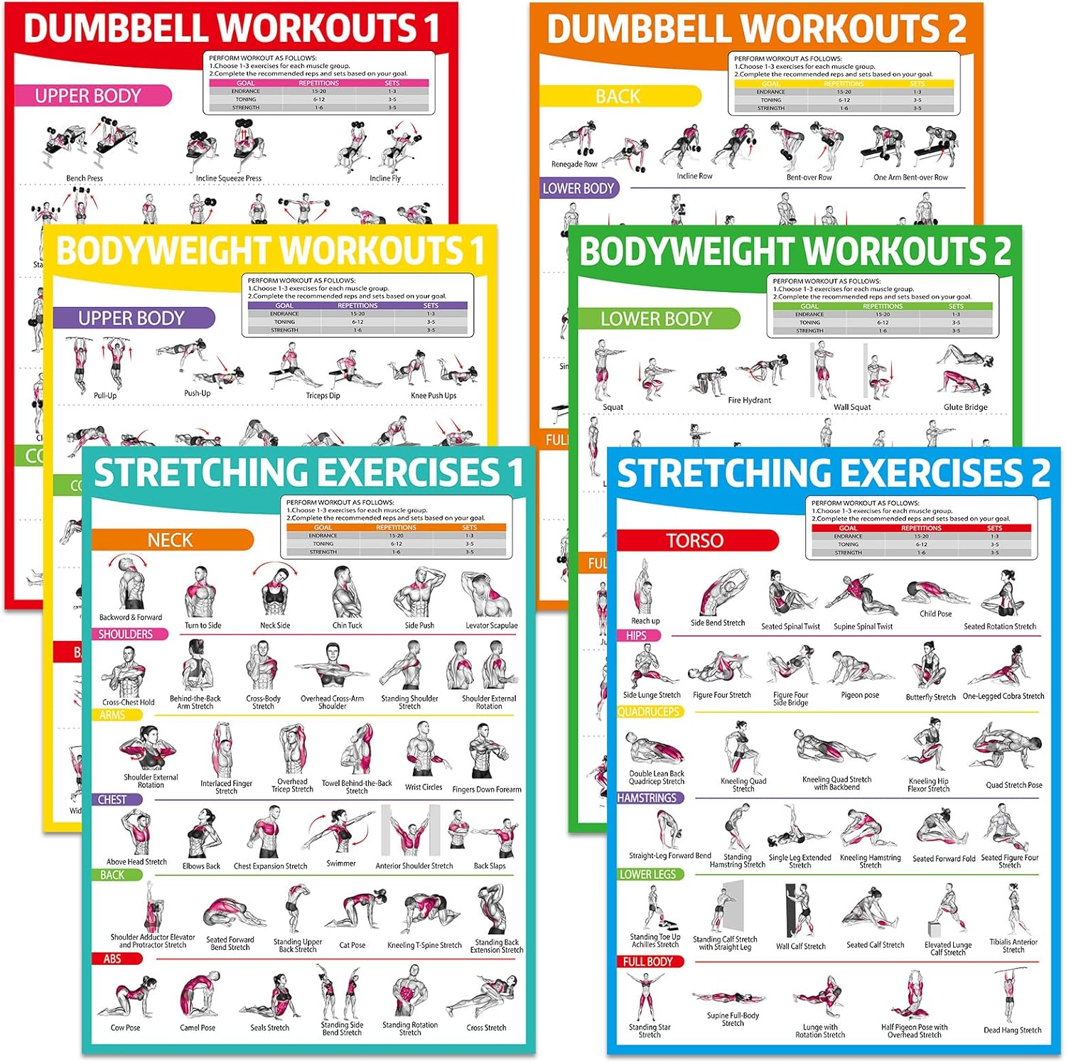 Gisgfim 6PCS Workout Posters for Home Gym Dumbbell Bodyweight Stretching Workout