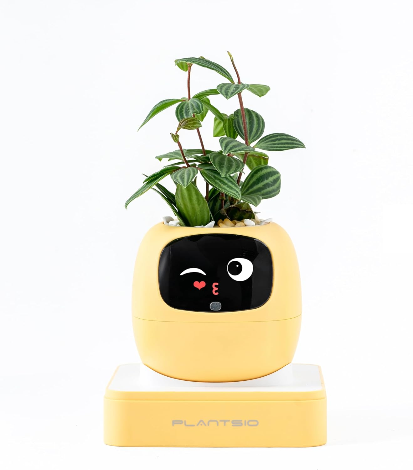 Ivy AI Smart Plant Pot with Emoji Intelligent Planter Robot for Houseplants  Tama