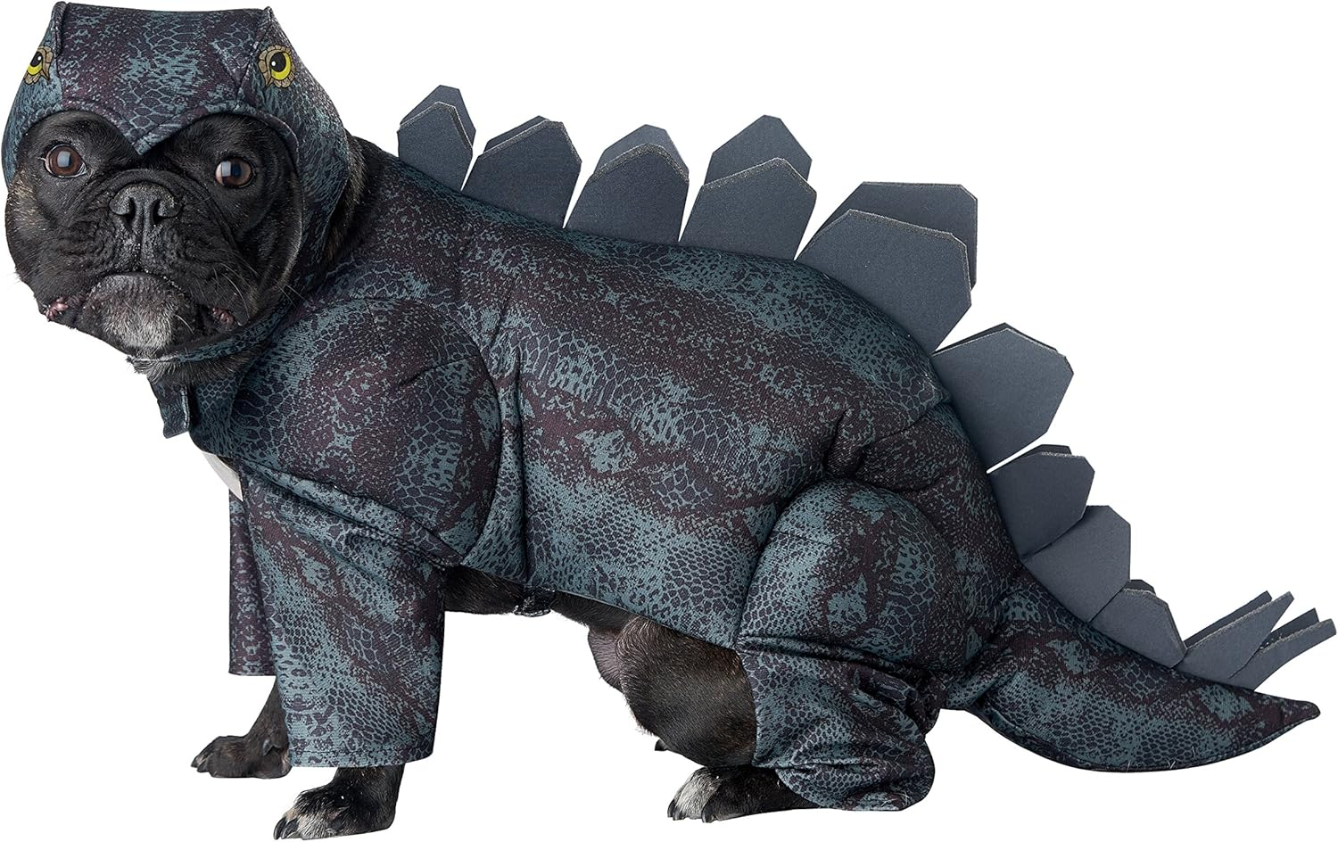Unisex Adult STEGOSAURUS Dog Costumes, Dark Green, Medium US