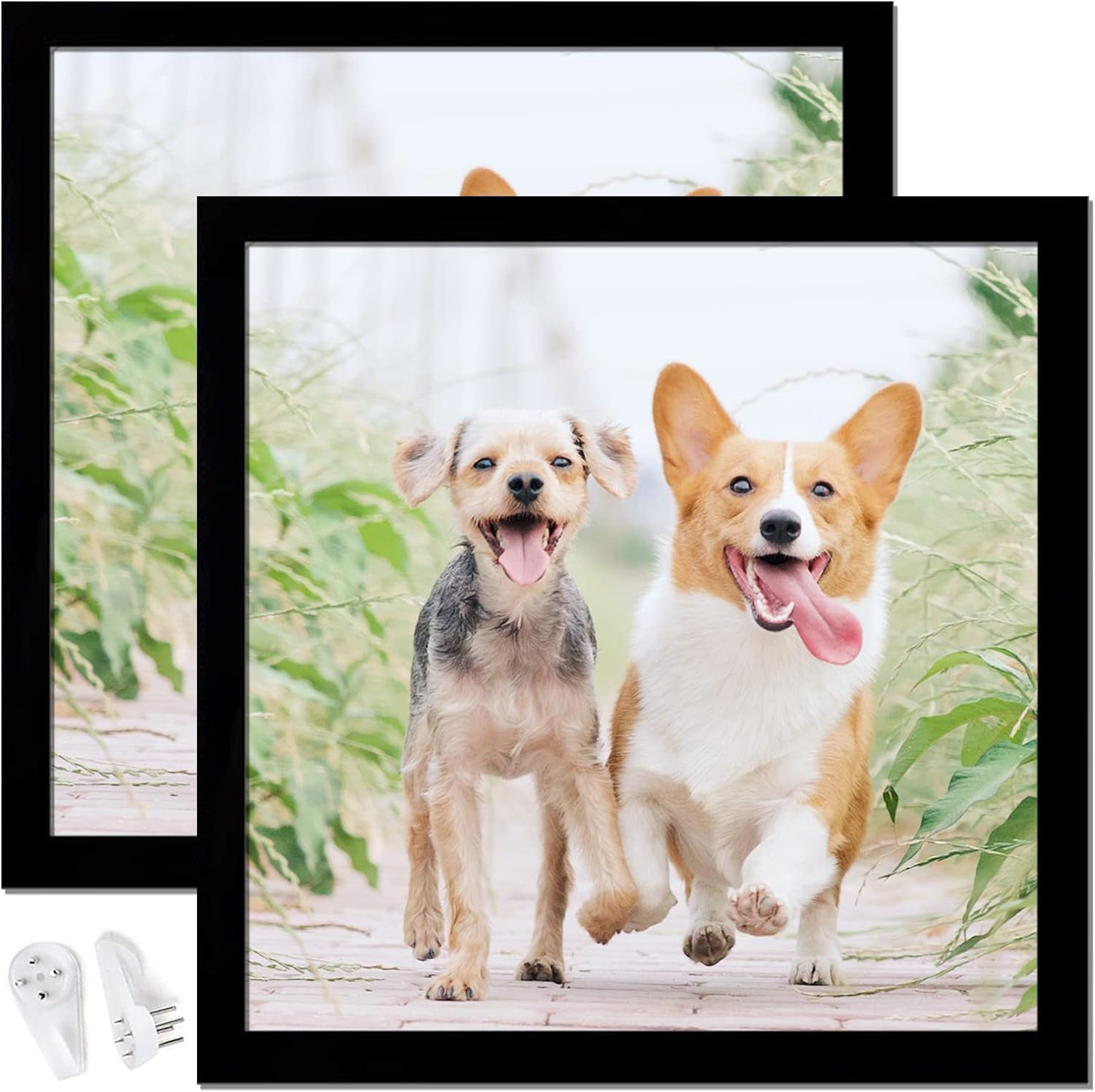 Black 12X12 Picture Frame Set of 2, High Transparent Picture Frames for 12 X 12
