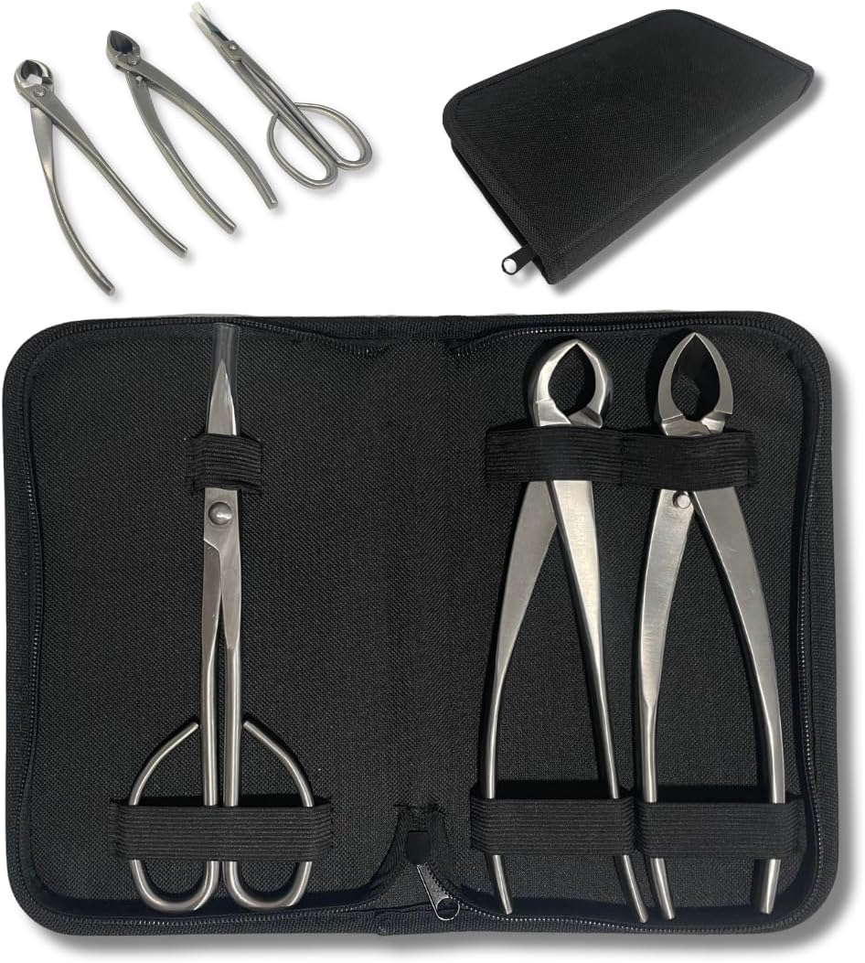 Bonsai Professional - Kit Attrezzi per La Manutenzione Di Bonsai Con Forbici, Potatore Concavo E Dritto Essenziali