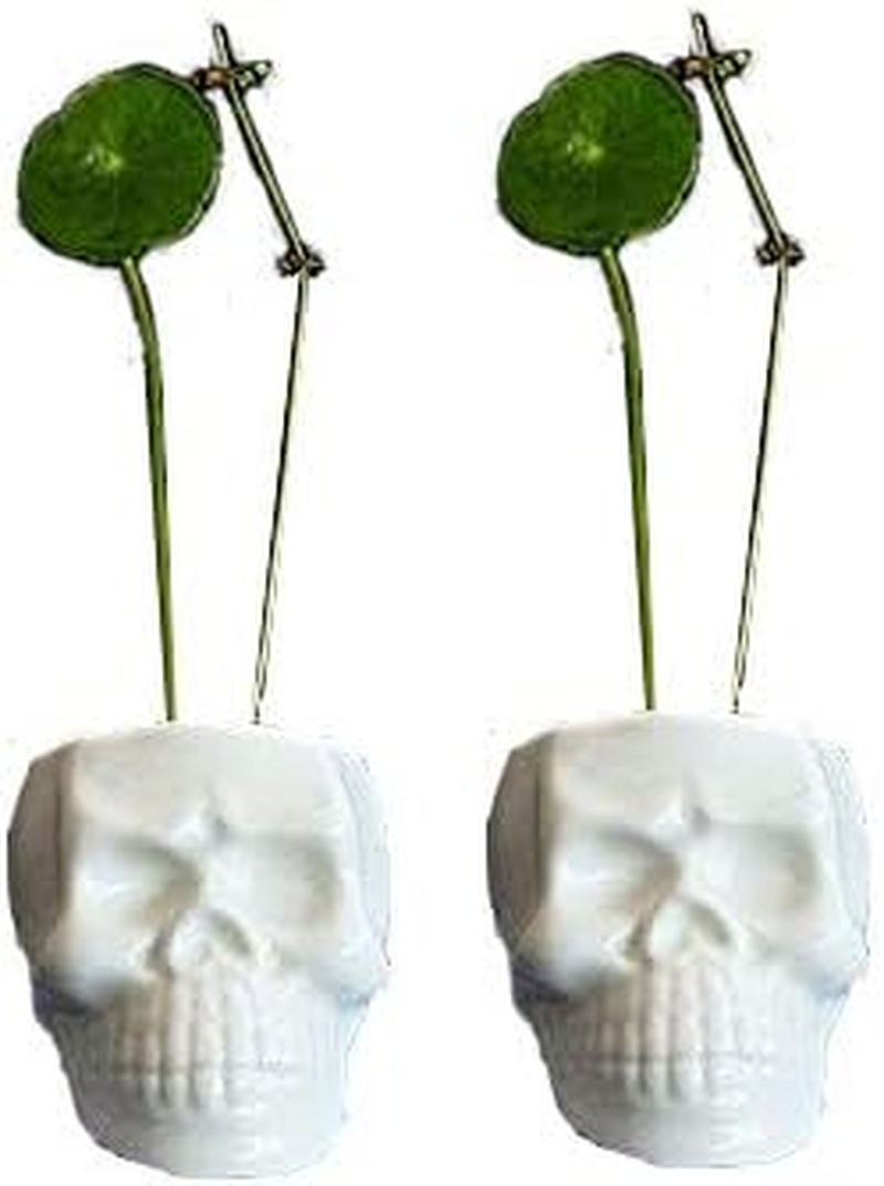 Wish you have a nice day Set of 2 Modern Skull White Ceramic Succulent Plante... - Picture 2 of 14