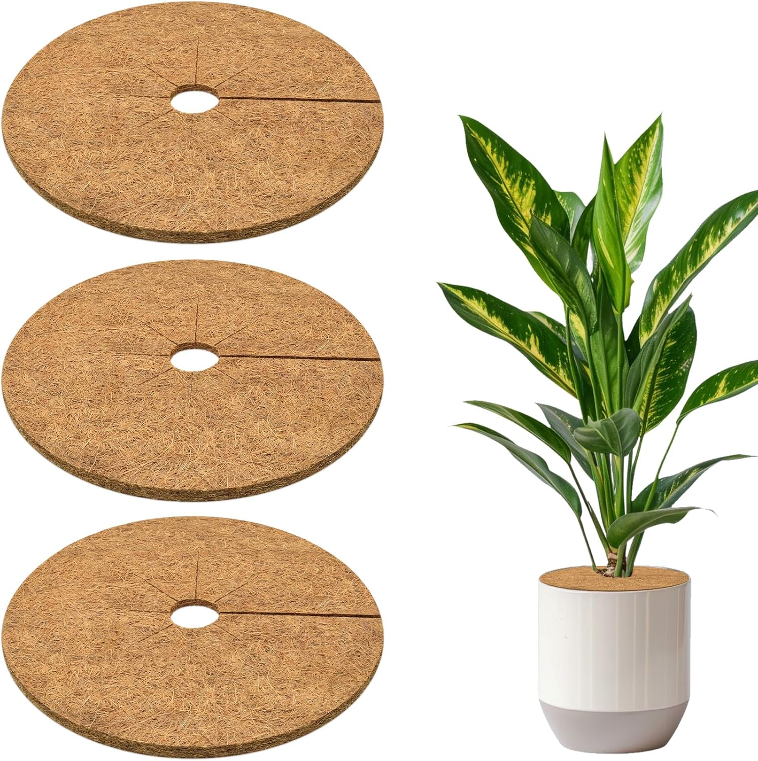 Zeedix 3 Pack Coconut Fiber Mulch Ring, 11.8 Inch Coco Coir Tree Ring Mulch Mat, 100% Natural Tree Protector Mat Plant Cover Ring Coconut Coir Discs Tree Mats Mulch Rings for Indoor Outdoor Plants