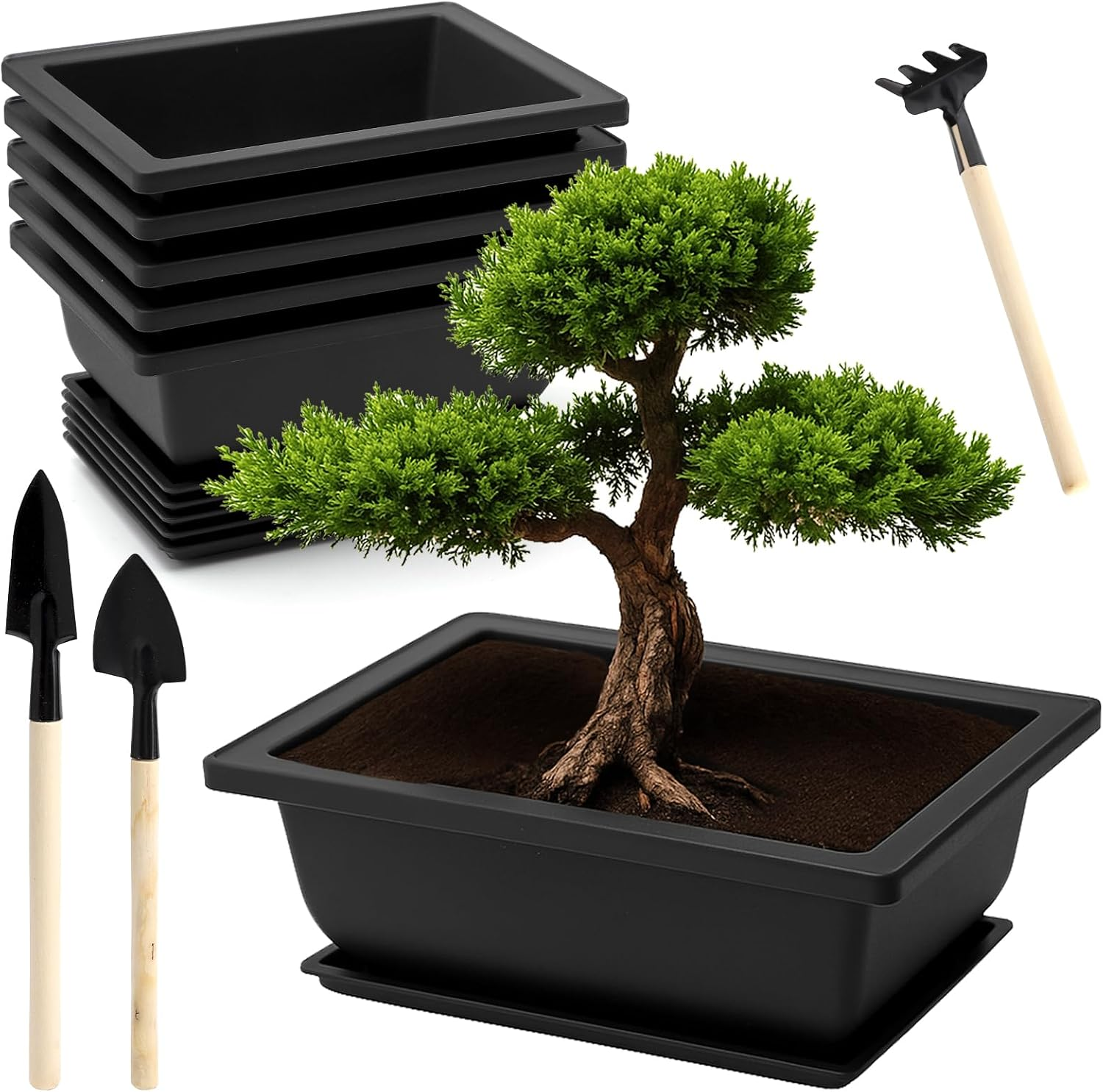 6 Stück Bonsai Schale Mit Untersetzer Und Klein Gartenwerkzeug Set, 16.5X12X6Cm Bonsaischale, Wiederverwendbar Bonsai Topf Pflanzenschale, Pflanzschale Für Gärten Büros Wohnzimmer Balkone