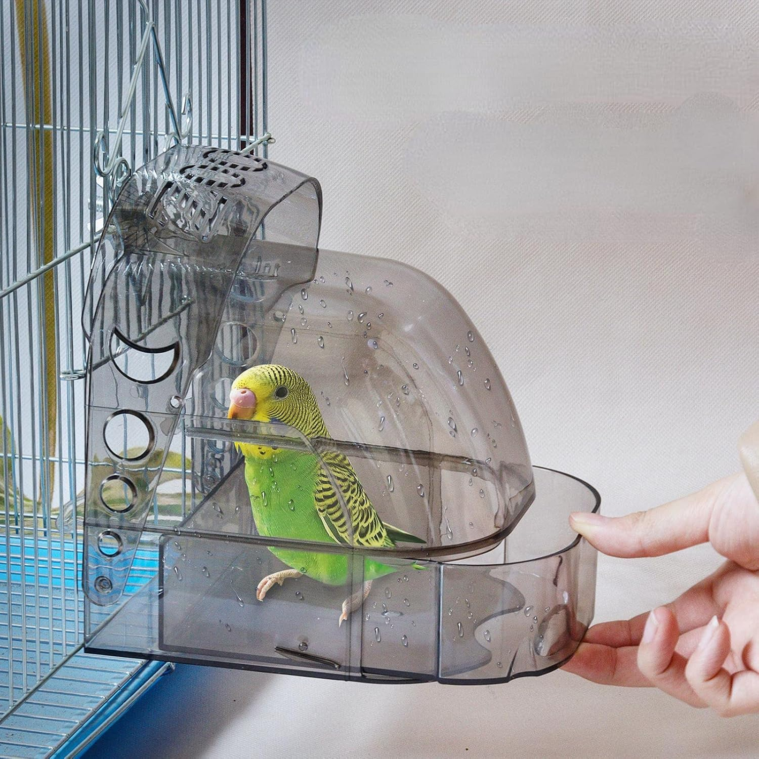 鳥のガラスバスケット Victorian Crystal Bird Basket Clear Glass