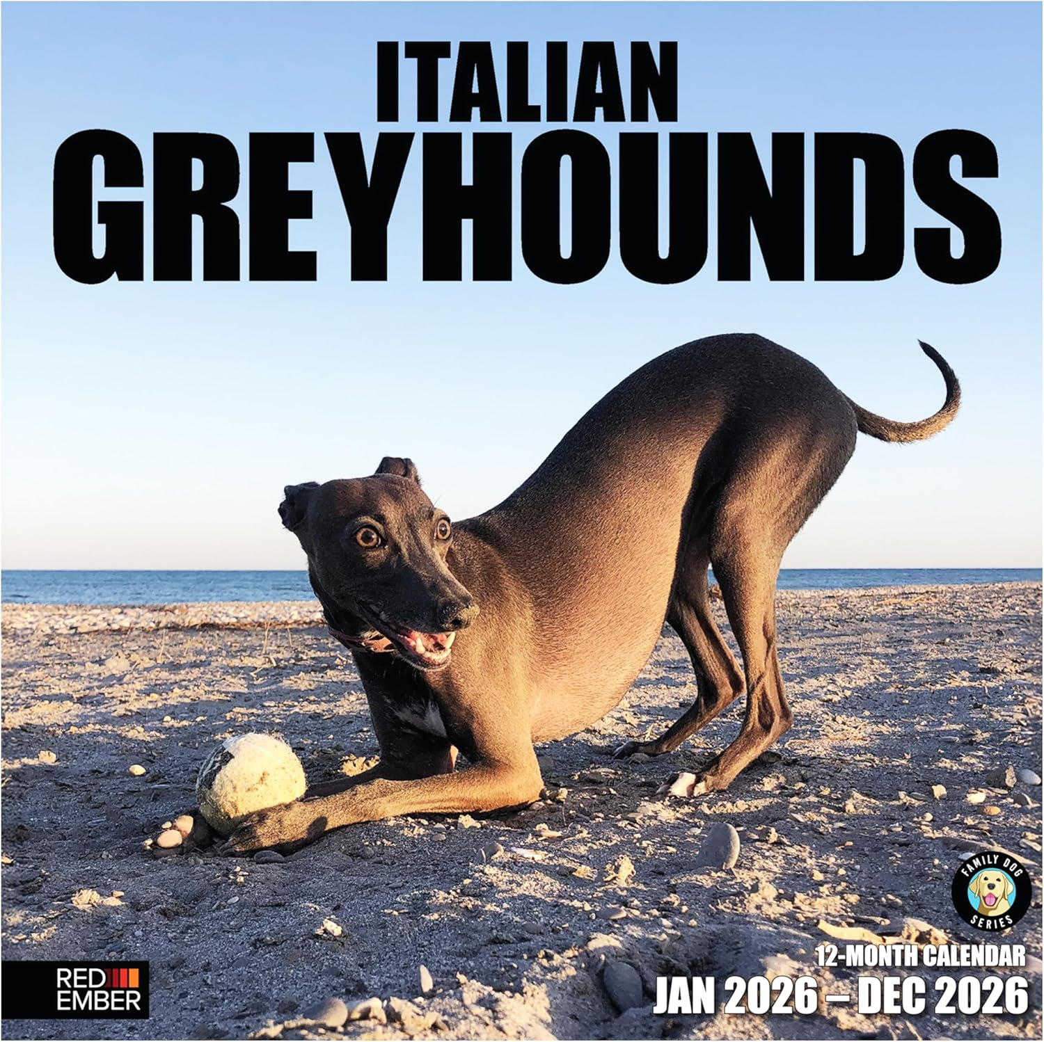 Italian Greyhounds 2026 Wall Calendar 12 Month | 12
