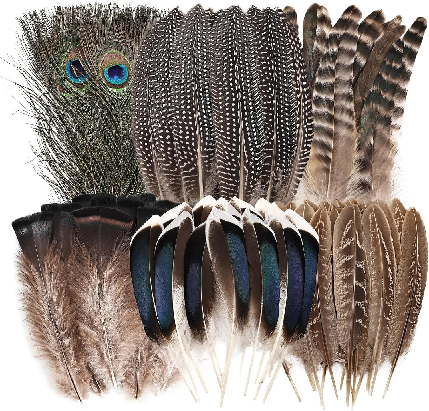 Natural Feathers Bulk - 55PCS - 6 Styles Assorted Natural Feathers, Peacock Feathers, Pheasant Feathers, Turkey Feathers for DIY Crafts, Wedding, Crafting Supplies