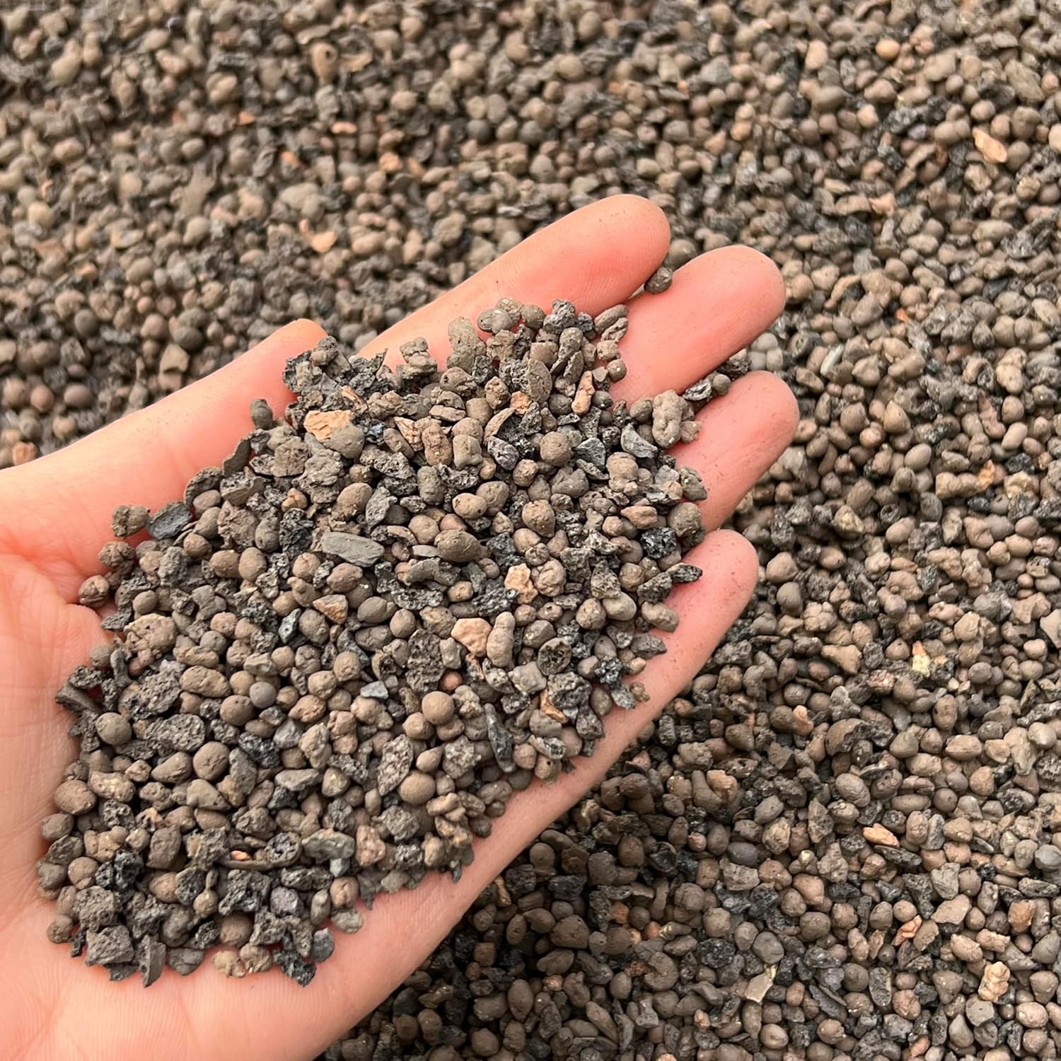 Leca Horticultural Grit, Clay Pebbles, Lava Rock Like, Fine Grade 2-4Mm (2L)