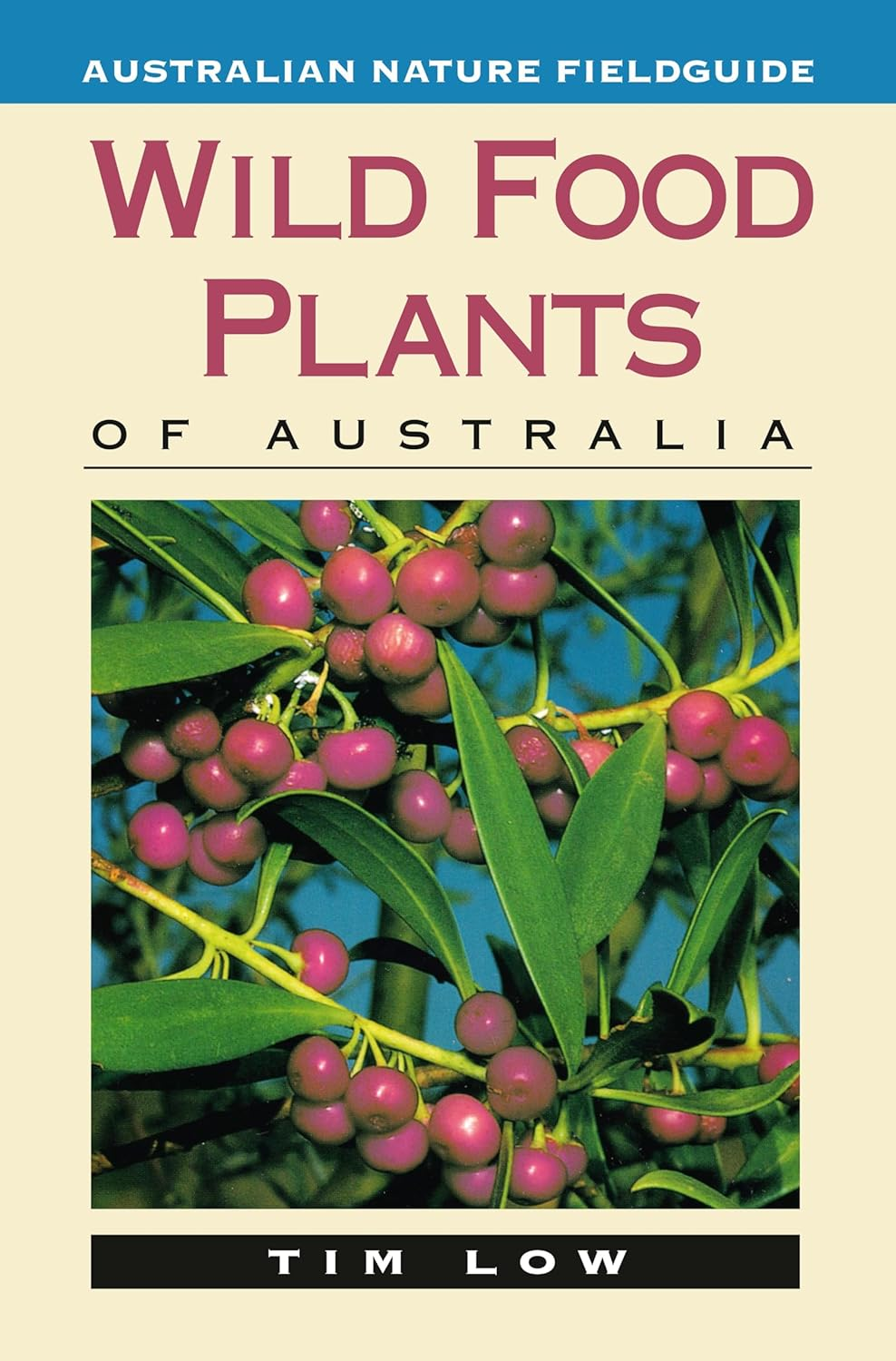 Wild Food Plants of Australia Paperback