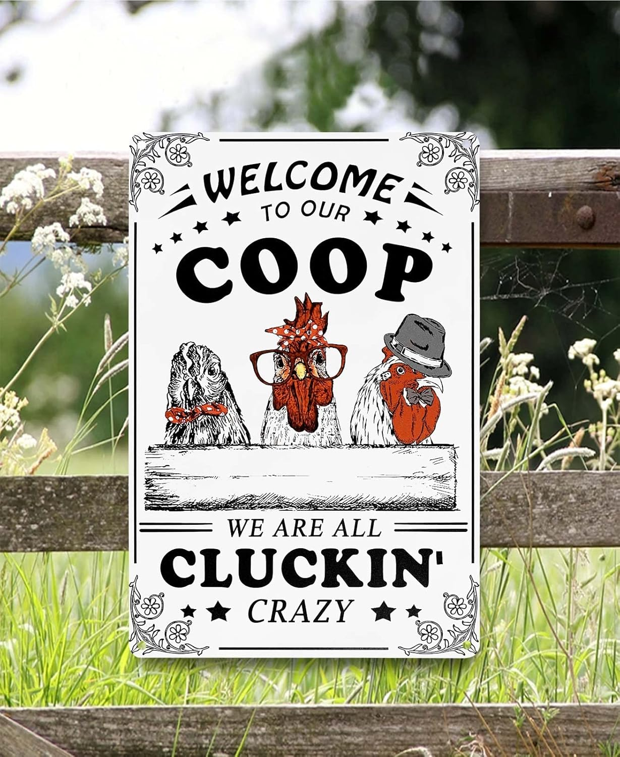 Welcome To Our Coop We Are All Cluckin Crazy Funny Chicken Sign Chicken Coop ... - Picture 7 of 17