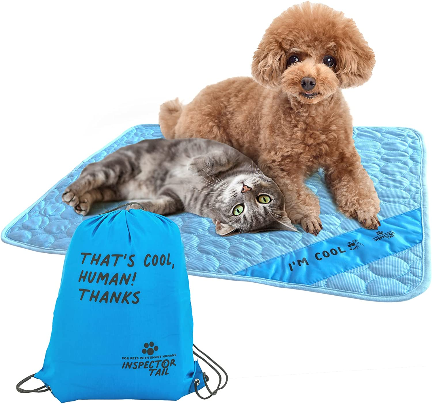 Self Cooling & Traveling Mat + Free String Bag Pack/Washable & Portable Pet Soft Pad for Indoor or Outdoor/Perfect for Dog & Cats for Car Travel Kennel Sofa Bed Floor/Blue