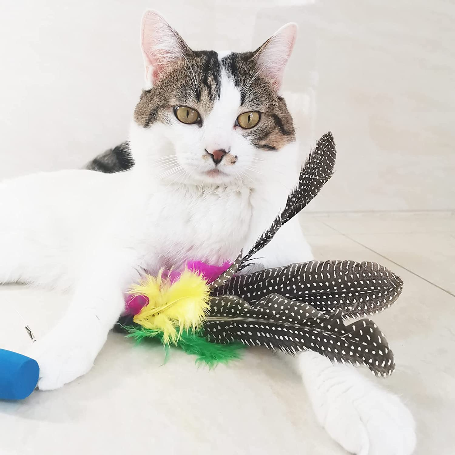 TIENAILING Cat Feather Toys Replacement Cat Wand Refill, 8 PCS Handmade Natur... - Picture 7 of 8