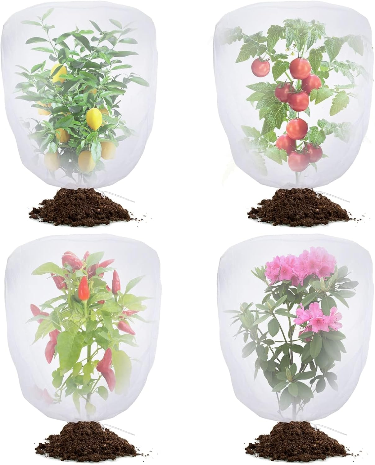 4 Pack Insect Netting Bag Bird Barrier Mesh Net for Blueberry Tomato Vegetables