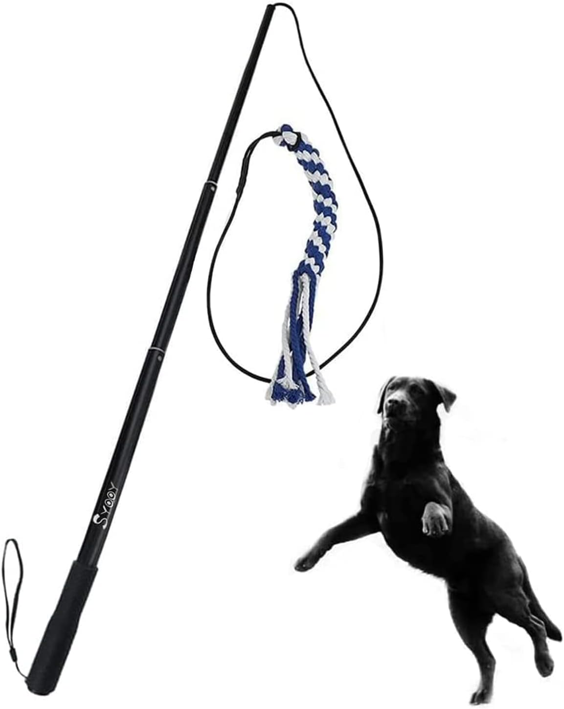 Flirt Pole for Dogs, Interactive Teaser Wand with 1 Fleece Rope Toy for Chase and Tug of War, Durable for Large & Medium Dogs, Outdoor Exercise & Training