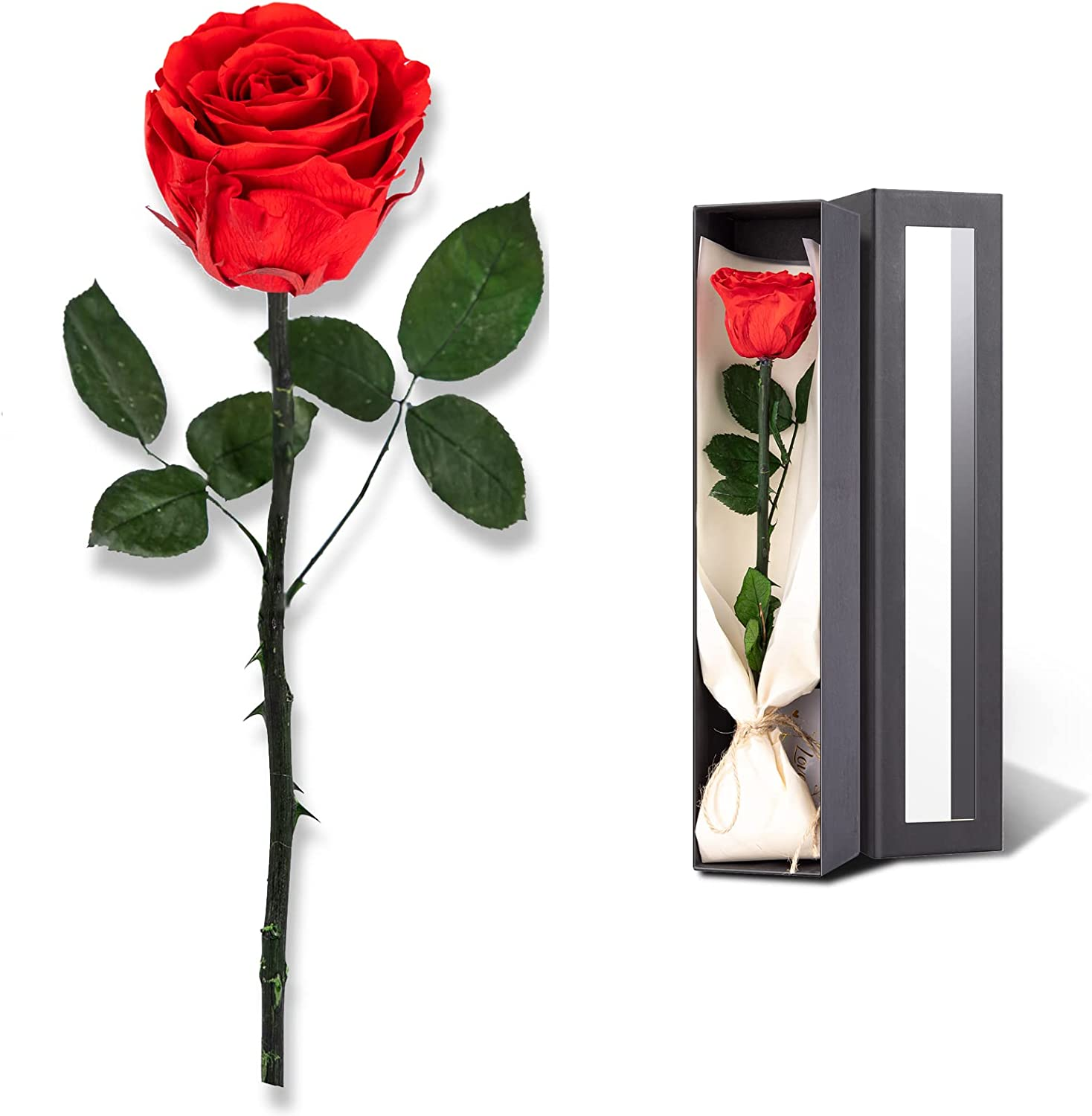 Flowers for Delivery Prime, Preserved Roses Flower Gifts for Women, Real Roses 