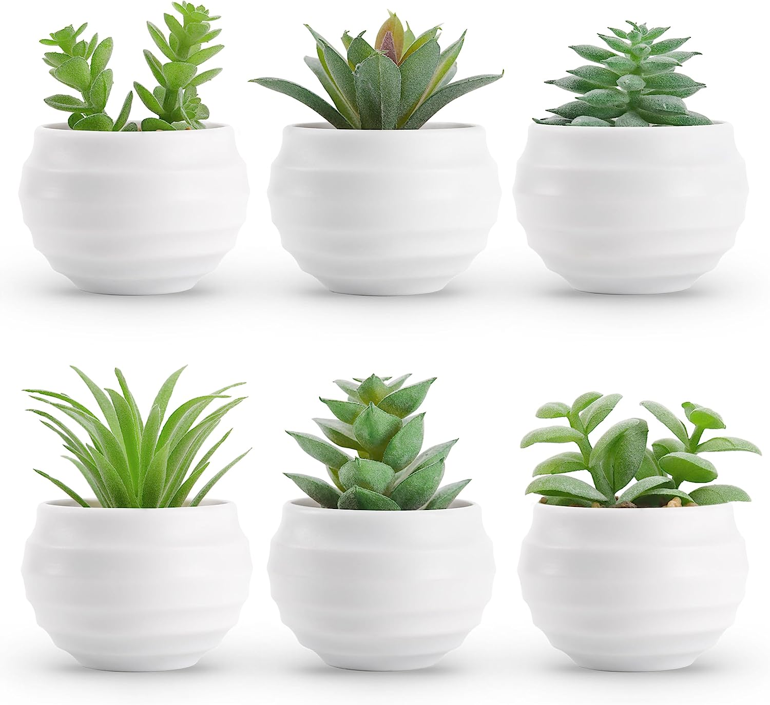 Set of 6 Succulents Plants Artificial in Pots Small Fake Plants for Bedroom Aesthetic Living Room Shelf Bathroom Decor Office Desk Accessories