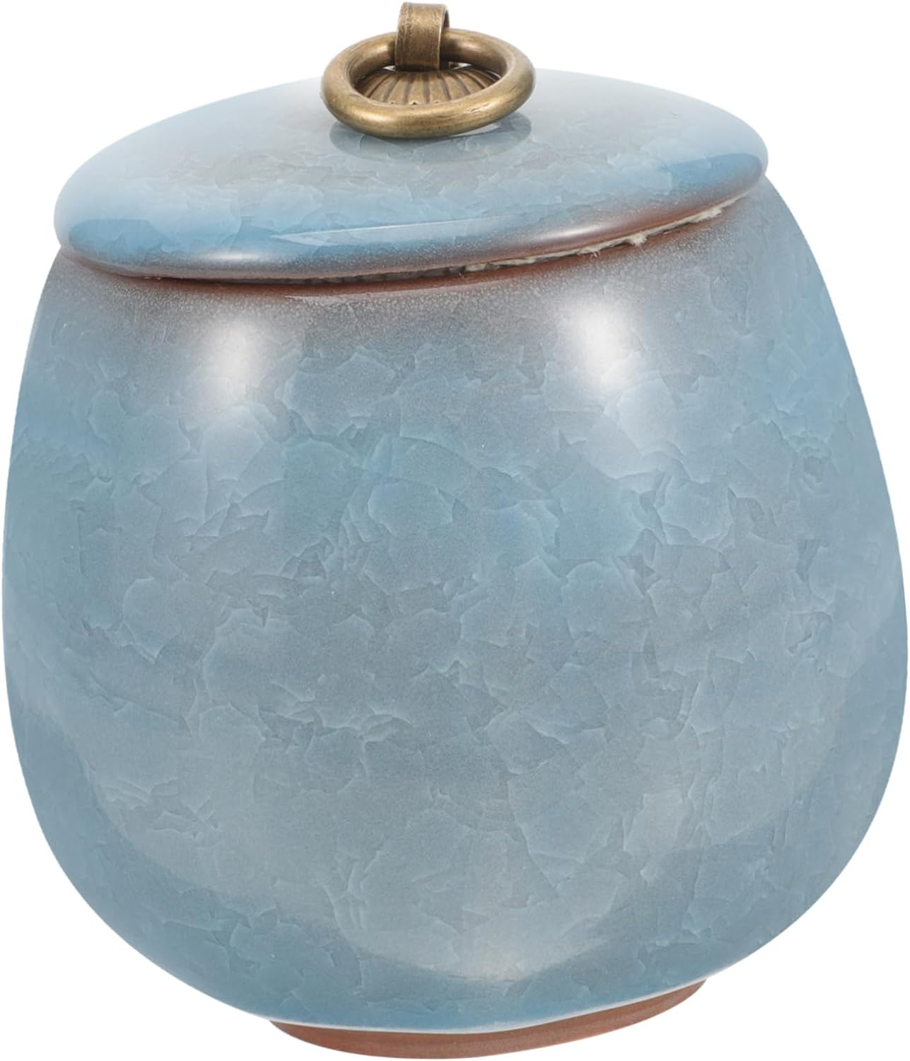 minkissy Pet Urn Urns Pet Cremation Urn Small Urn Dog Ashes Urn Medium Urn Do... - Picture 3 of 12