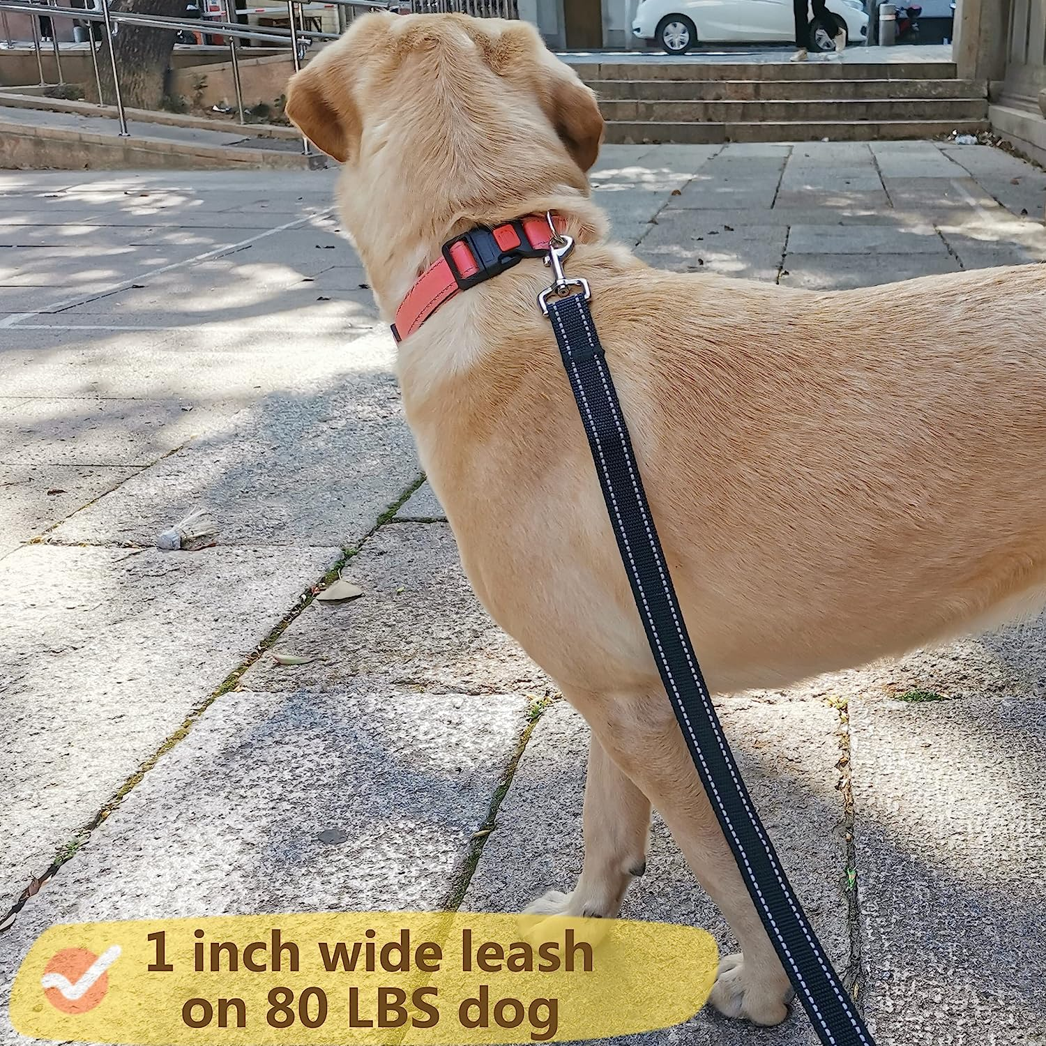 OEFEO Reflective Dog Leash for Large&Medium and Small Dogs, Strong and Durabl... - Picture 6 of 15
