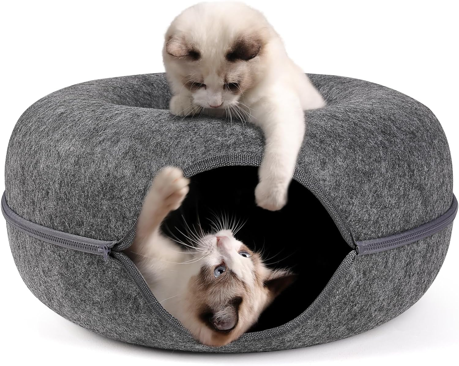 Bininl Cat Tunnel - Peekaboo Cave Bed for Indoor Pets, Donut-Shaped House Wit... - Picture 3 of 17