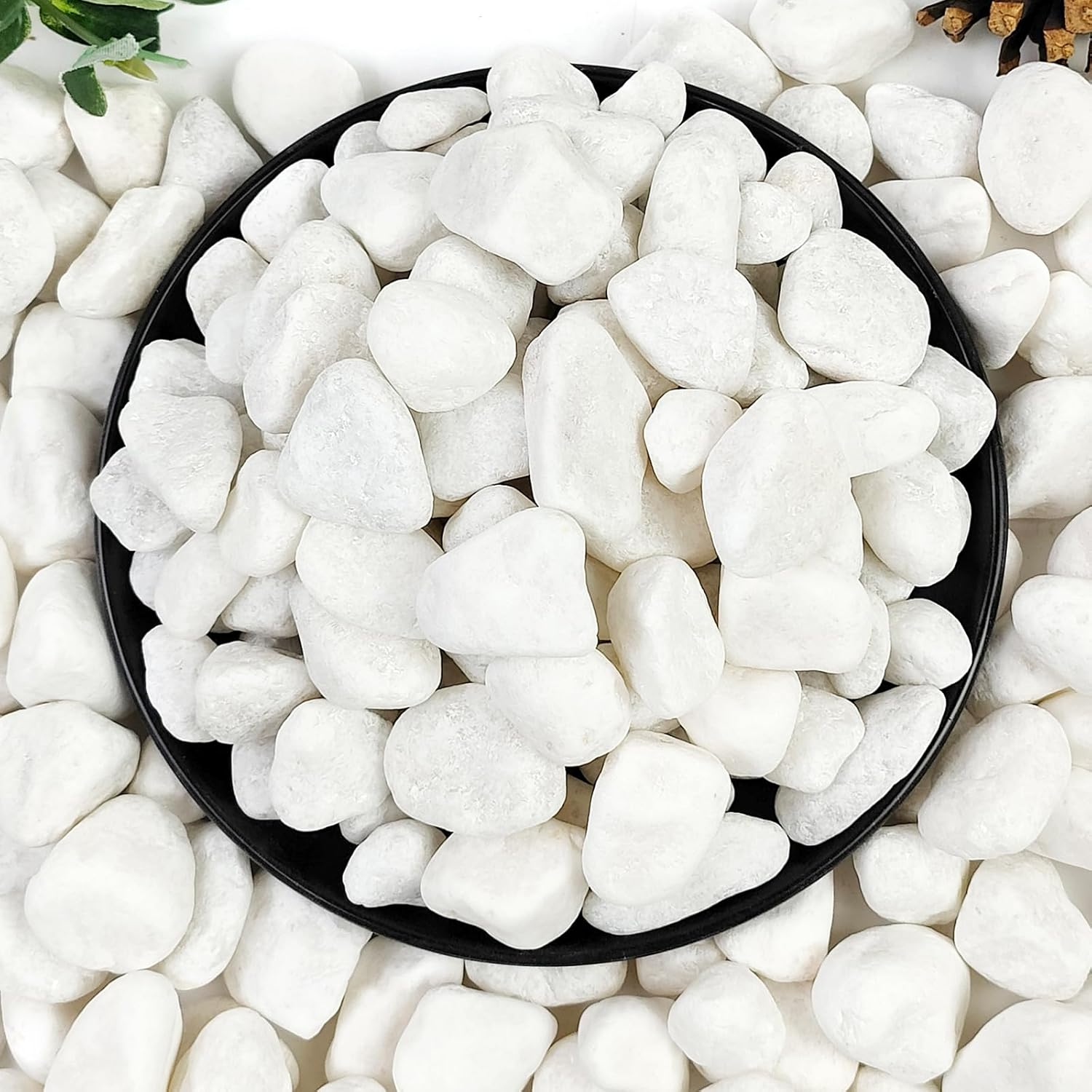 2Lb White River Rocks, 5/8 Inch Natural Pebbles for Indoor Plants, Snow White Decorative Stones, Ideal for Fish Tank, Vases, Crafting, Home Decor and Garden Landscaping Rocks