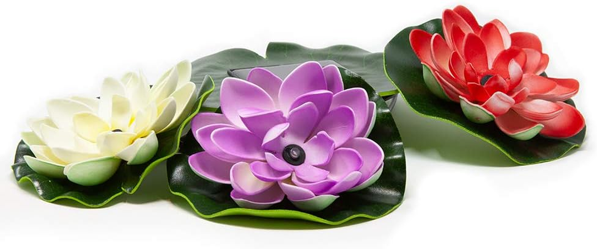 Beckett Corporation Solar Lily Lights for Pond