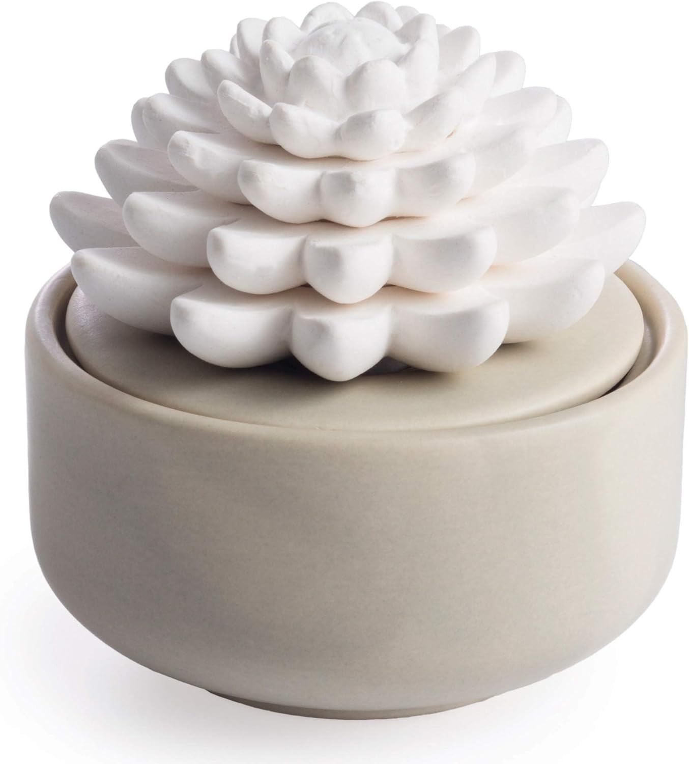 Airomé White Succulent, Porcelain Passive Essential Oil Diffuser (With 15Ml Peppermint Essential Oil) – Non-Electric, Battery-Free, Improves Sleep, and Relieves Stress