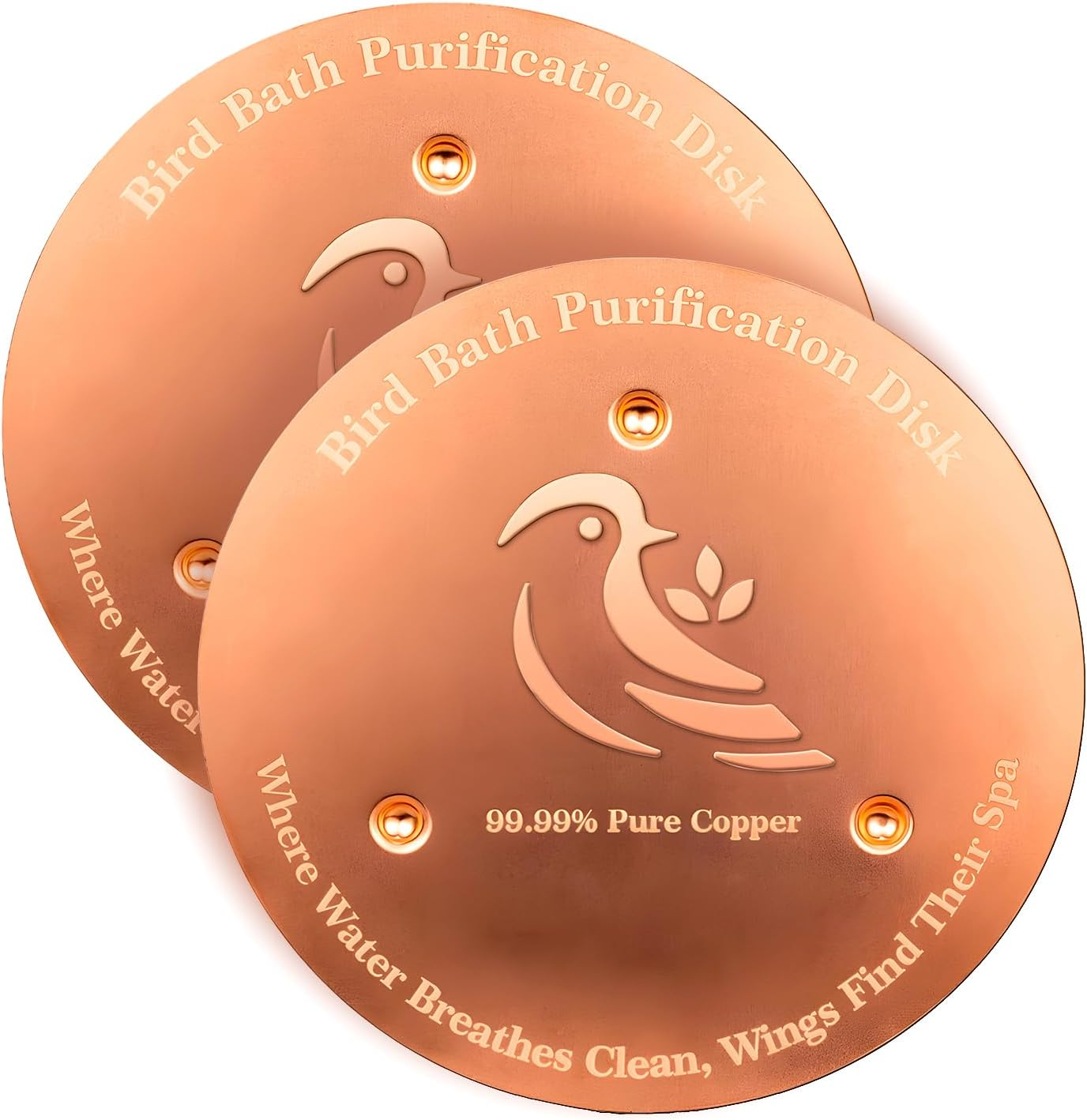 2 Pack Bird Bath Purification Disk, Premium 0.6Mm Sturdy 99.99% Pure Copper Disk for Bird Baths,Triple-Point Support Ensures Clean Water Year-Round, Compatible with All Outdoor Birdbath Bowls