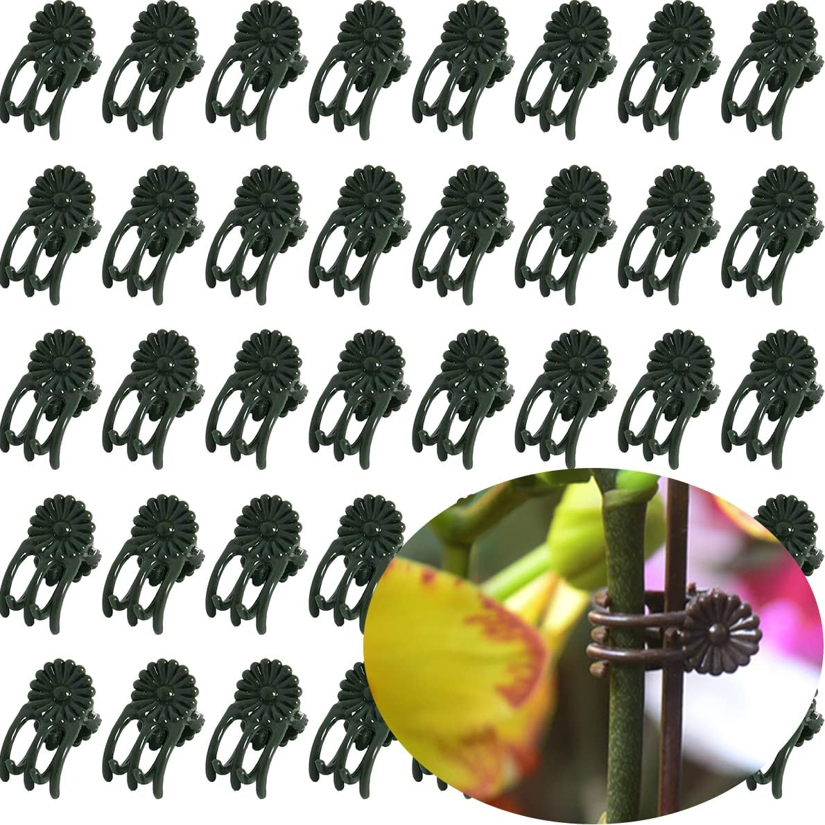 EESC2Y 40-PCs Orchid Clips for Plants Support - Dark Green, for Small - Middl... - Picture 2 of 13
