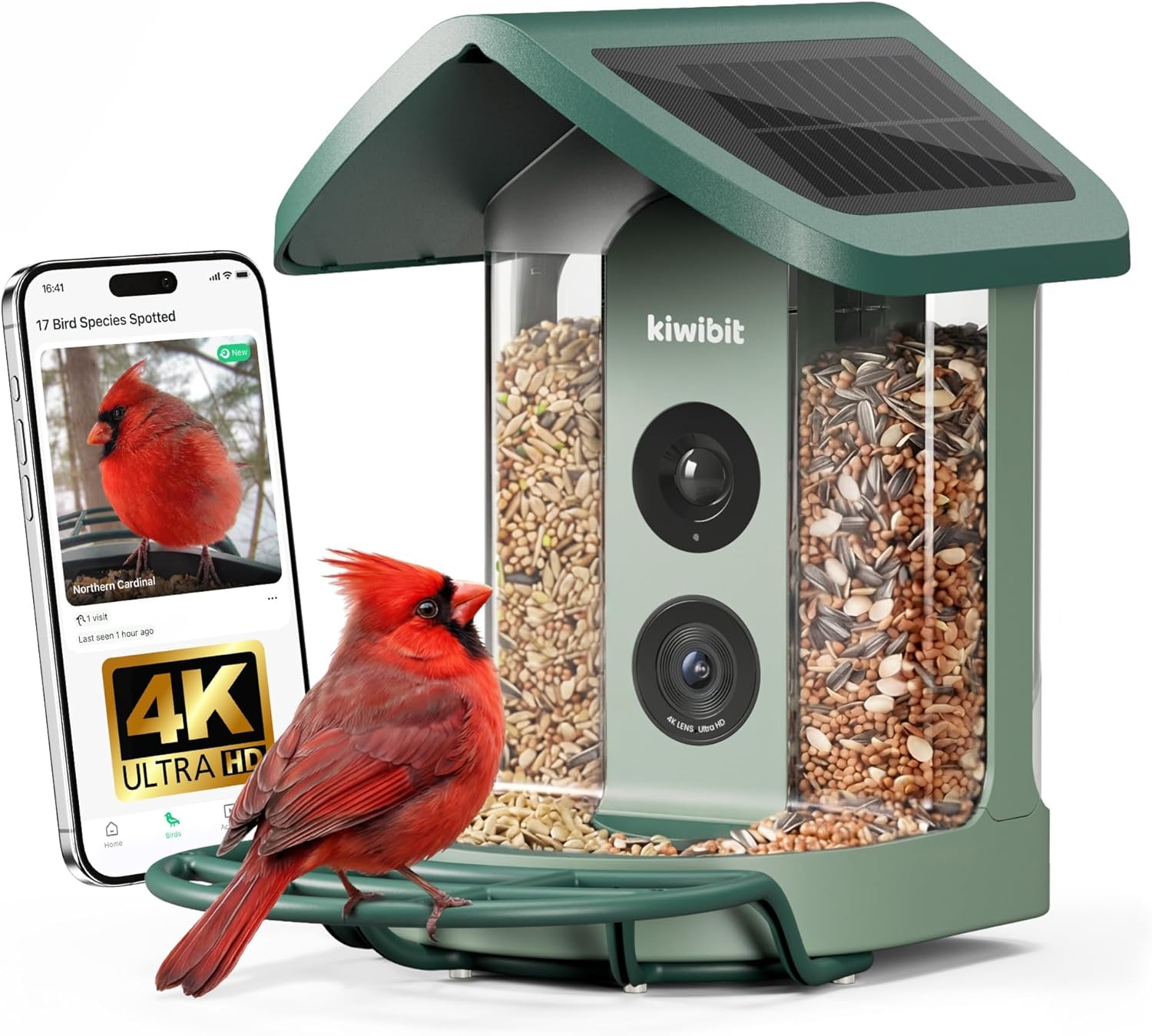 Kiwibit Solar Smart Bird Feeder with Camera, AI Bird Species Identification, 8MP Photos, 4K UHD Video Live Stream Wild Bird House Feeders for Outdoors, Bird Watching Gifts for Bird Lovers, Green