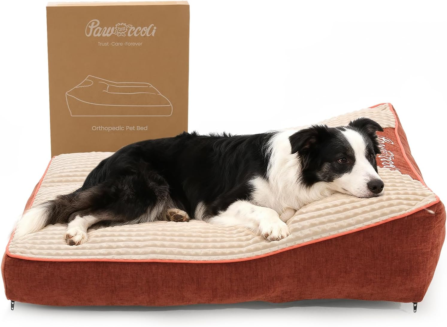 Orthopedic Dog Bed 36x24x5 Large, Washable Removable Cover & Pillow, 65 lb