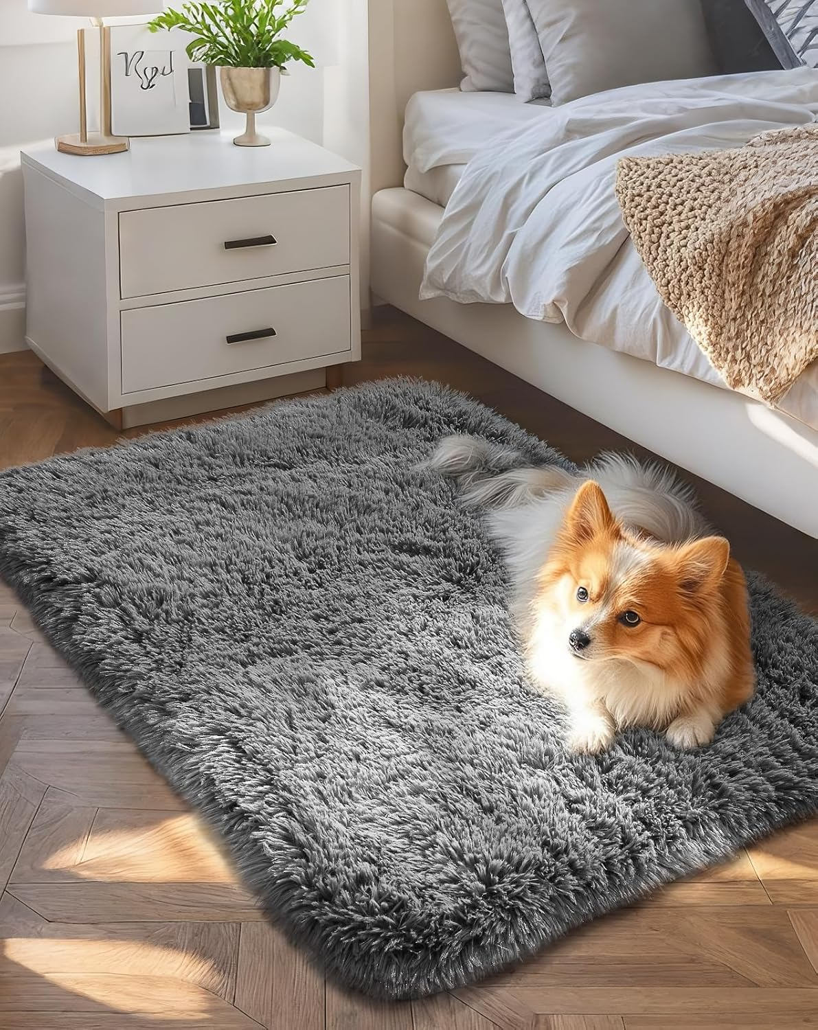 Small Rug Upgrade Non Slip Throw Bedside Area Rugs, Fluffy Soft Grey Mini Bedroom Carpet, Affordable Door Entryway Indoor inside Front Entrance Dog 2X3 Mat, Home Decor Aesthetic, Nursery