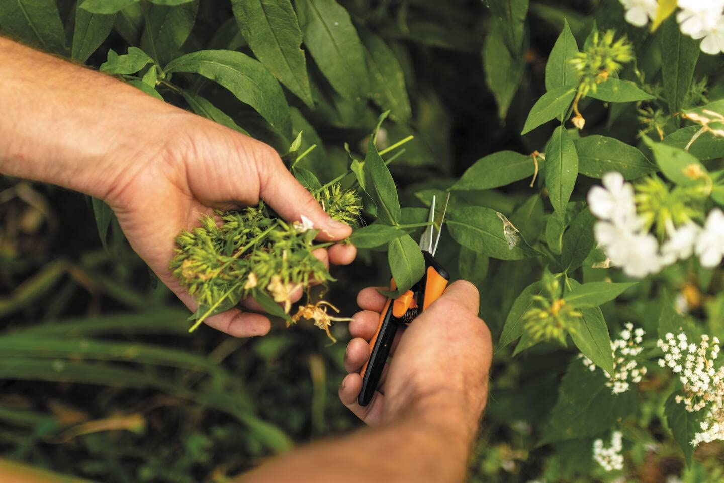 Fiskars Pruning Snip, 140 mm Length - Picture 11 of 13