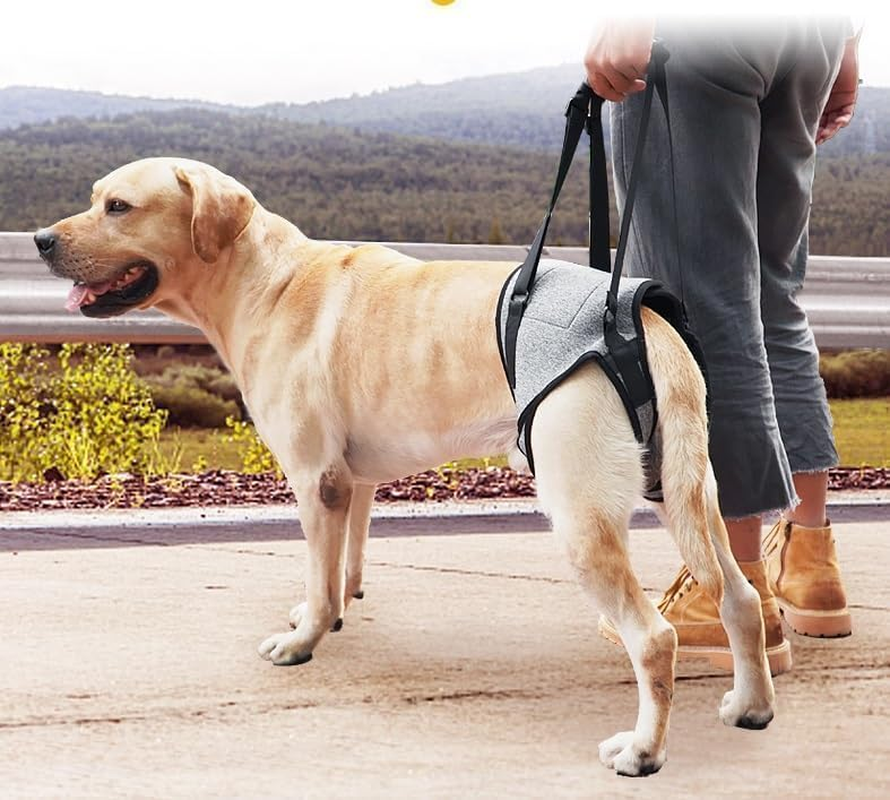Dog Lift Harness, Dog Sling for Medium Large Dogs, Adjustable Dog Support Har... - Picture 4 of 14
