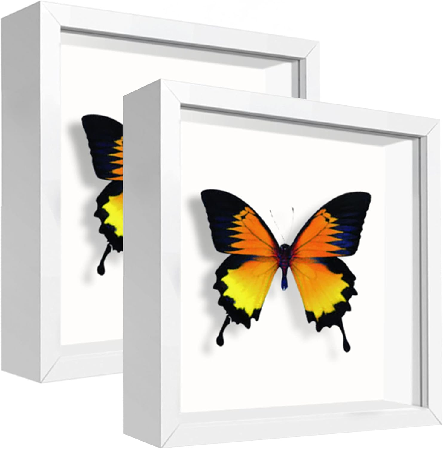 5x5 White Small Shadow Box Frame Display Case , Display Case Box for Memorabilia, Medal, Wedding Memories, Crafts, Tickets and Photos (2Pcs-White, 5x5)