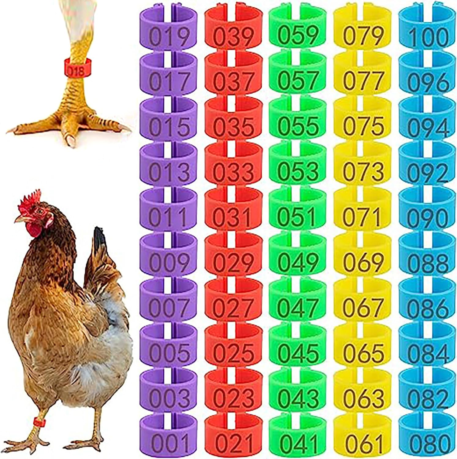Cougzed 100 Pcs Chicken Leg Bands - 16Mm Colorful Numbered Chicken Tags for Legs, Poultry Leg Bands for Ducks, Chicks, Goose, Gamefowl, Turkey