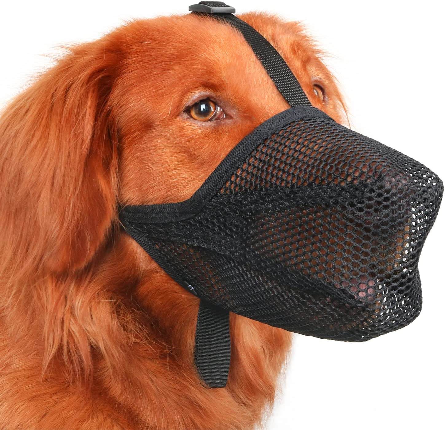 Dog Muzzle, Patented Soft Mesh Muzzle for Small Medium Large Dogs for Scavenging Biting Licking and Chewing, Allows to Pant and Drink (M, Black)