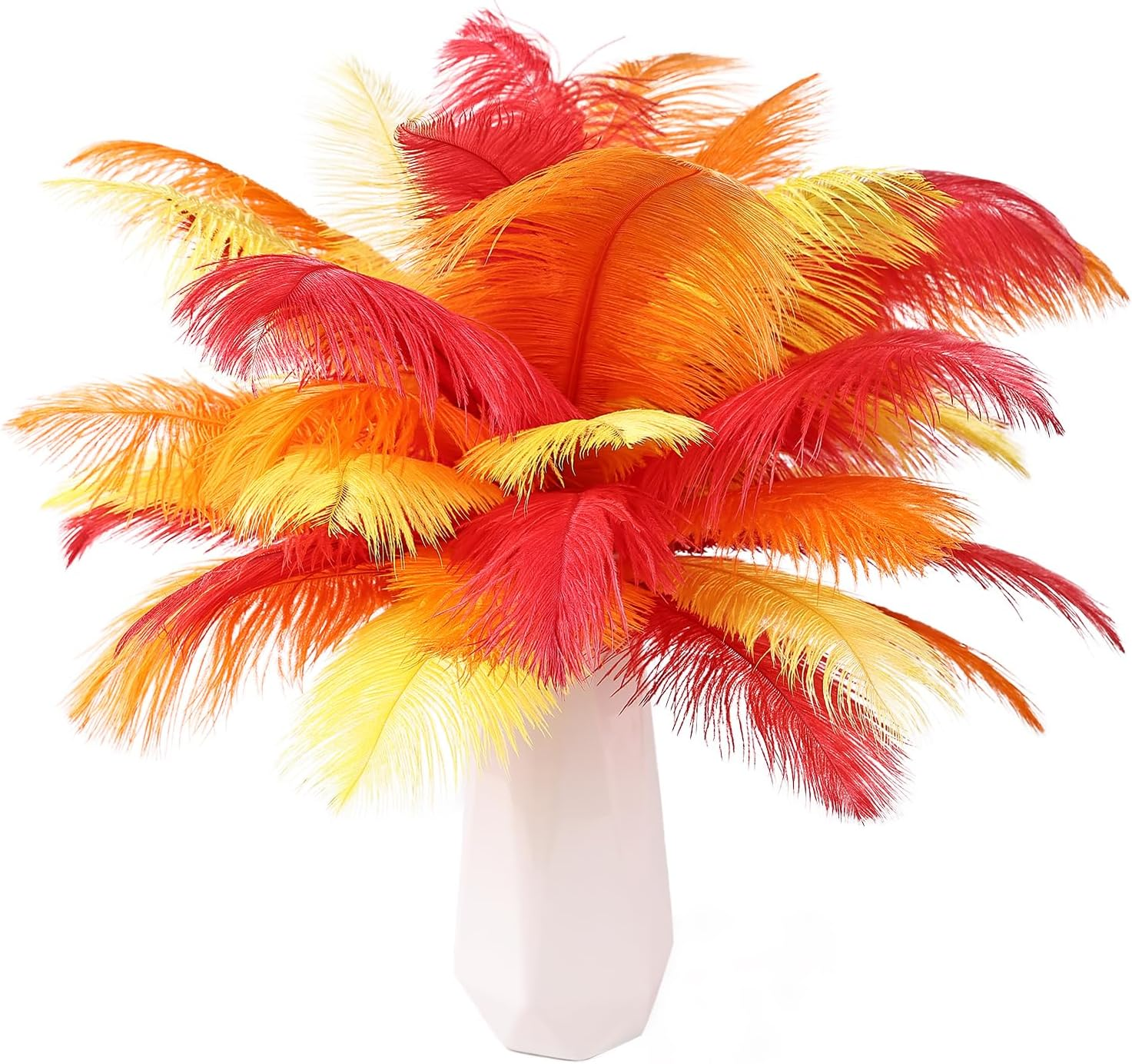 Red Orange Yellow Ostrich Feathers 12pcs Natural Bulk 8-10Inch 20cm-25cm for