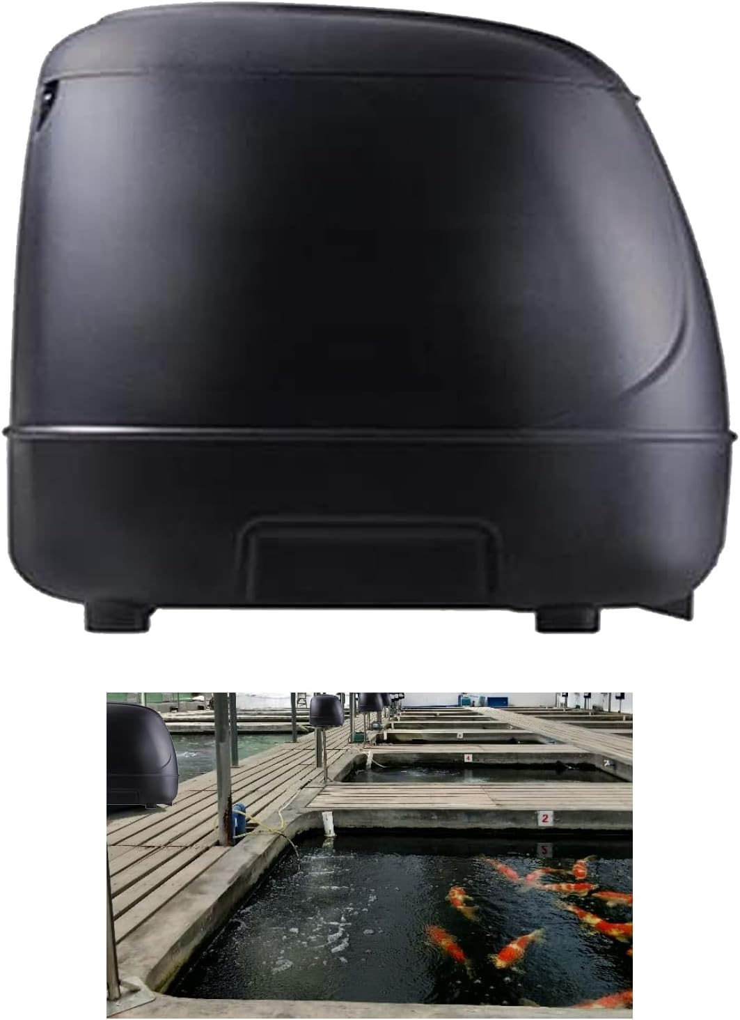 10L Pond Fish Feeder, Automatic Fish Feeder for Pond, Timer High Capacity, Battery-Powered for Vacations & Hot or Cold Weather