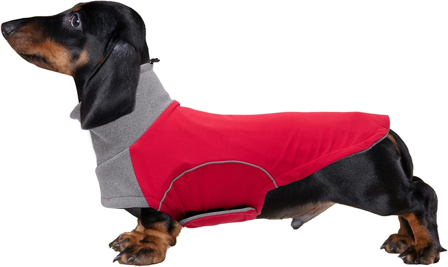 Dog Winter Coat for Dachshund,Waterproof Miniature Dachshund Clothes Jacket,Small Dog Coat with Harness Slot,Dachshund Jumper with Turtle Neck,Pet Garment Ideal for Walking,Camping-Red-Xs