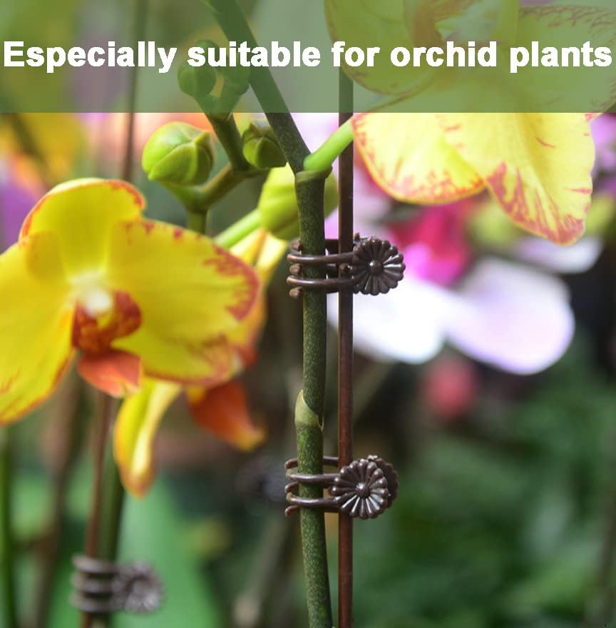 EESC2Y 40-PCs Orchid Clips for Plants Support - Dark Green, for Small - Middl... - Picture 3 of 13