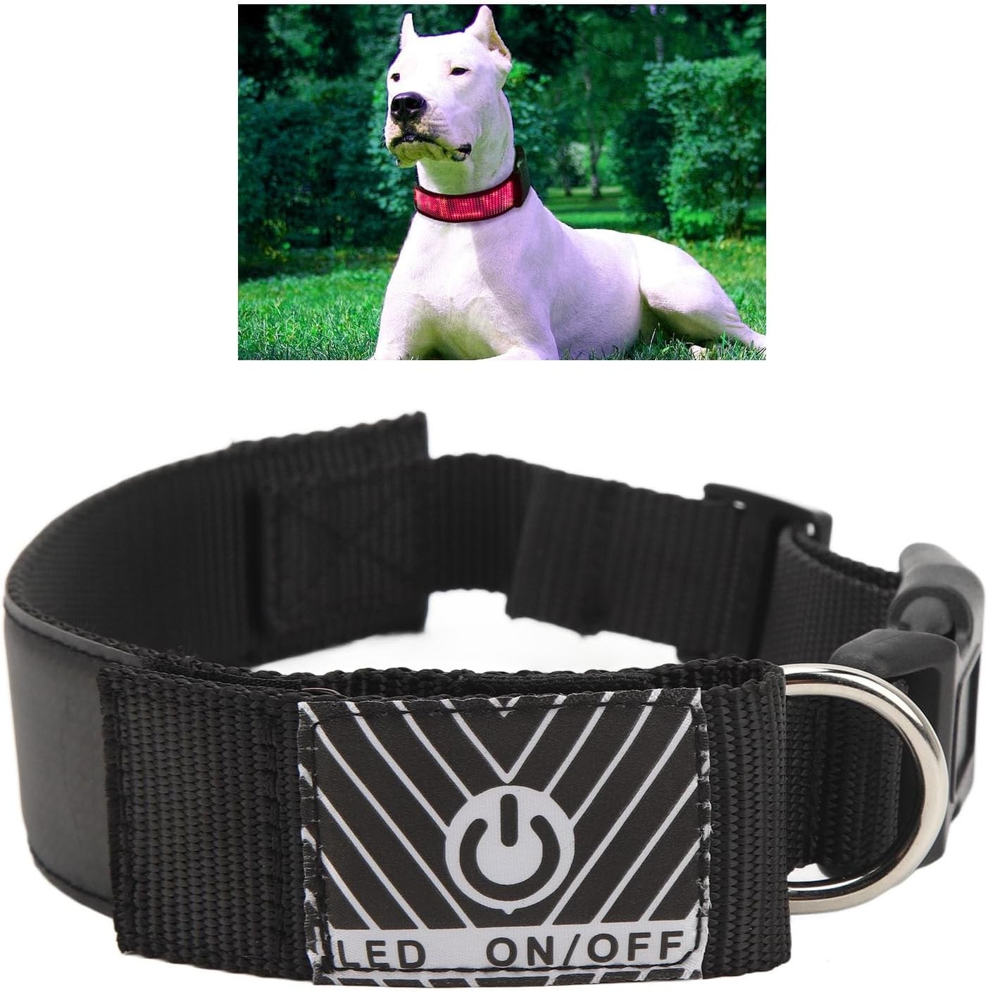Programmable LED Collar with Connection, Rechargeable, Stylish Design, High V... - Picture 9 of 13