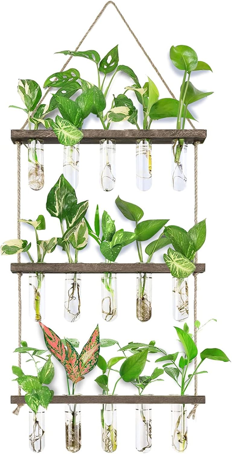 Wall Hanging Propagation Station with Wooden Stand 5 Glass Test Tubes 3 Tiered Planters Wall Terrarium for Home Office Plant Hanger Flower Vases Wall Decor Hydroponic Cuttings