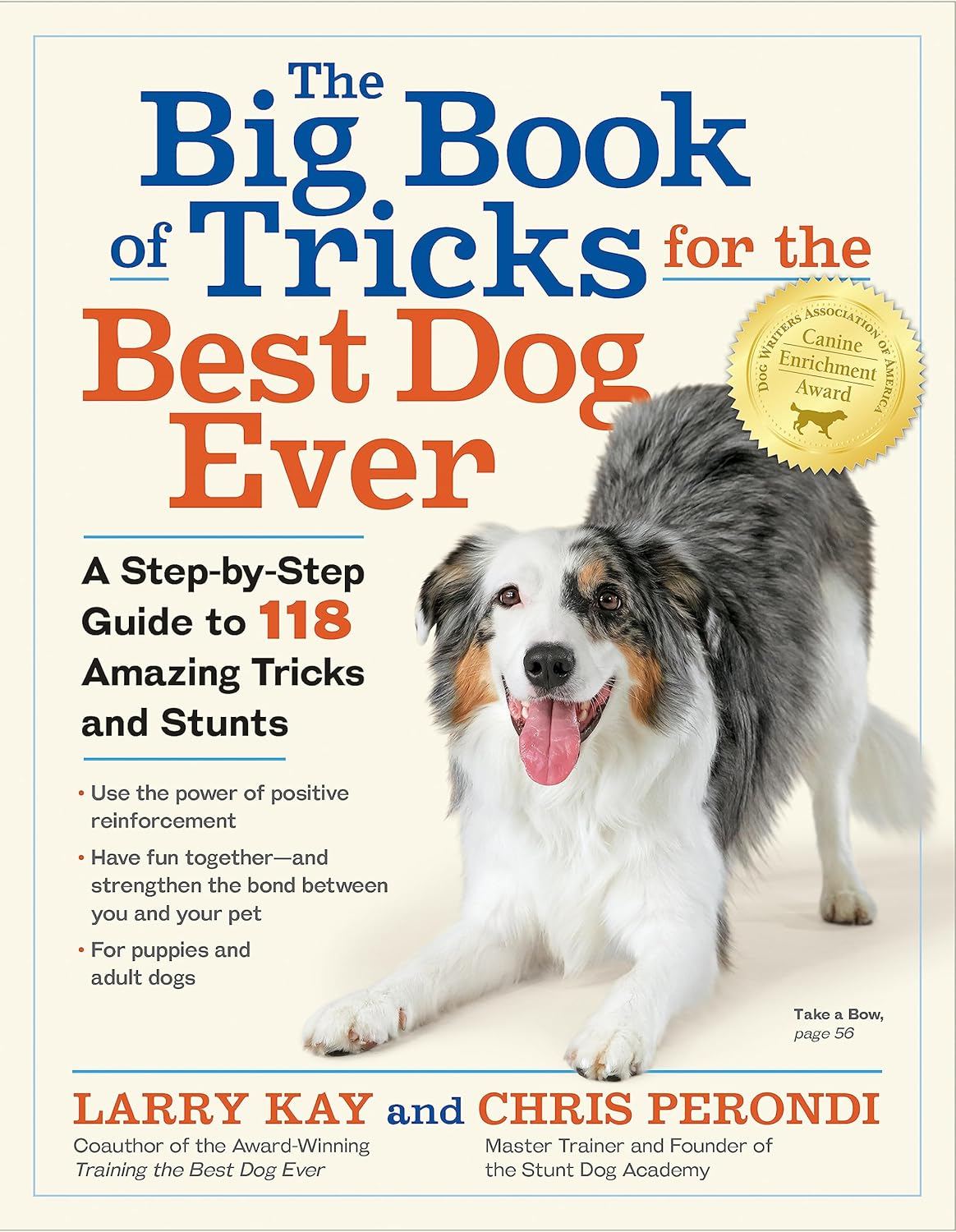 The Big Book of Tricks for the Best Dog Ever: a Step-By-Step Guide to 118 Amazing Tricks and Stunts