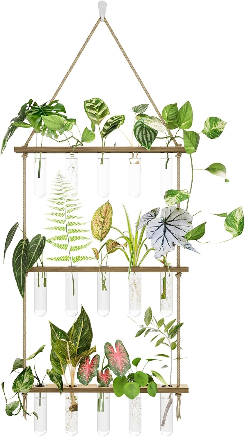 Bamworld Pflanzen Propagator Station Mit 15 Reagenzgläsern Und Holzständer Für Pflanzenstecklinge, Hydrokultur, Sukkulenten, Zimmerpflanzen Zubehör Zur Anzucht Und Innendekoration